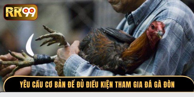 Yêu cầu cơ bản để đủ điều kiện tham gia đá gà đòn